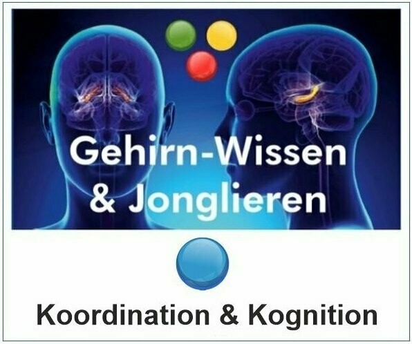 Gehirn-Wissen & Jonglieren für Koordination & Kognition