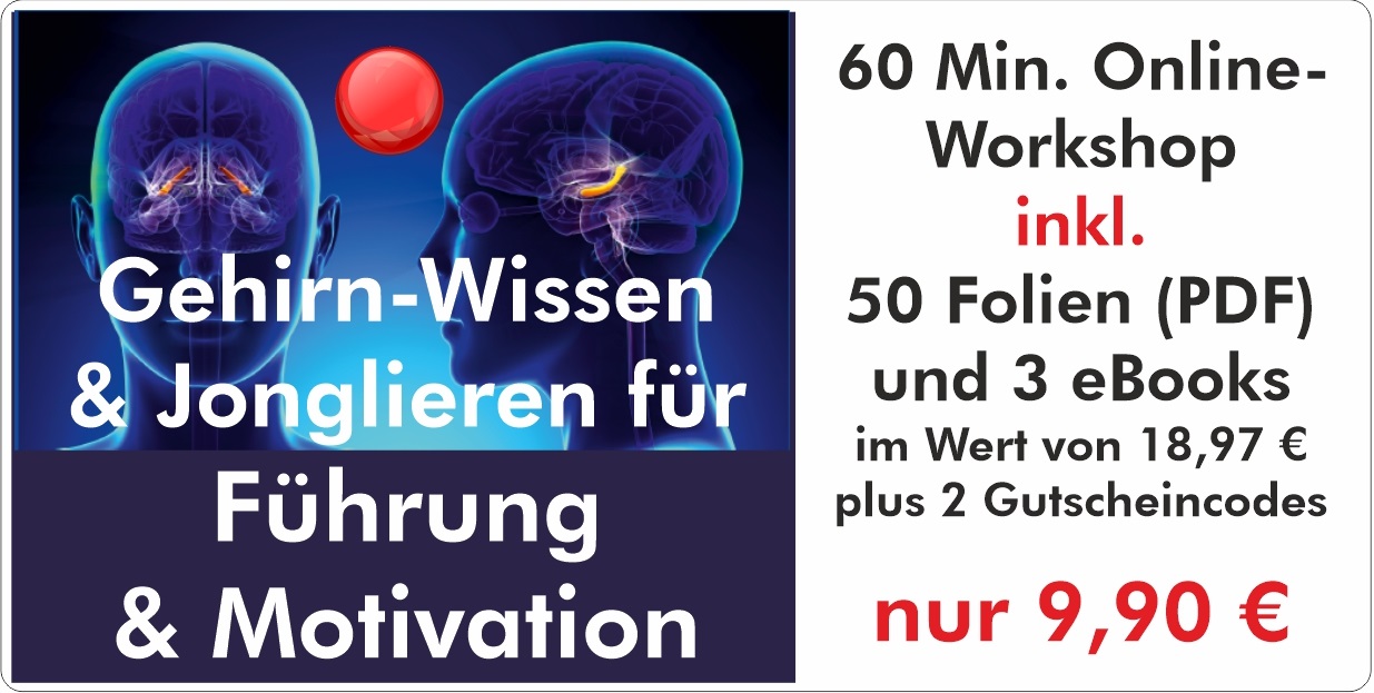 60 Min. Onloine-Seminar Gehirn-Wissen & Jonglieren für Führung & Motivation